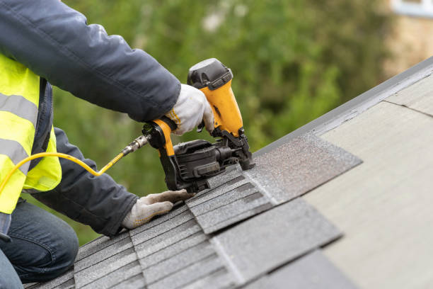 Best Roof Moss and Algae Removal  in South Coatesville, PA
